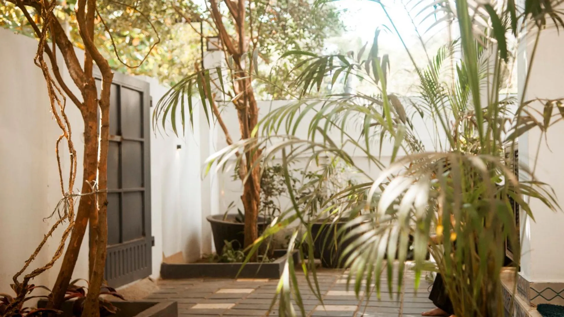 Penzion Pine Beach House Alleppey Alappuzha Indie