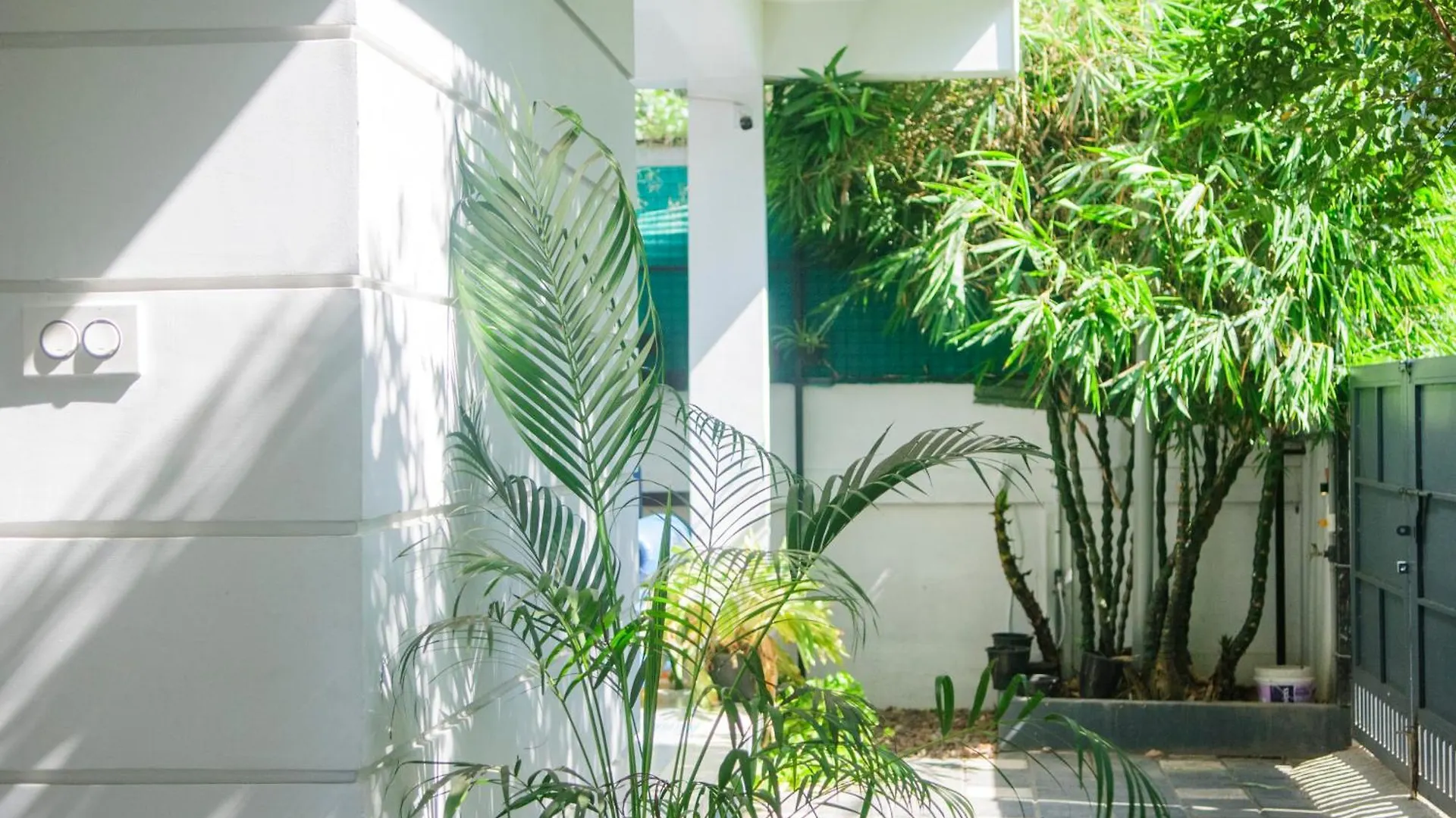 Pine Beach House Alleppey Alappuzha Guest house